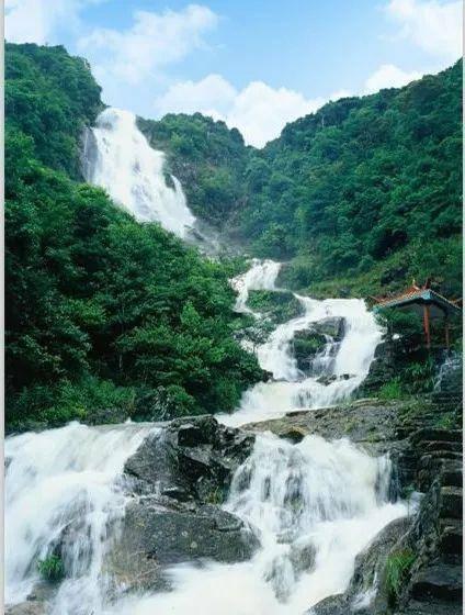 迷失在荒野